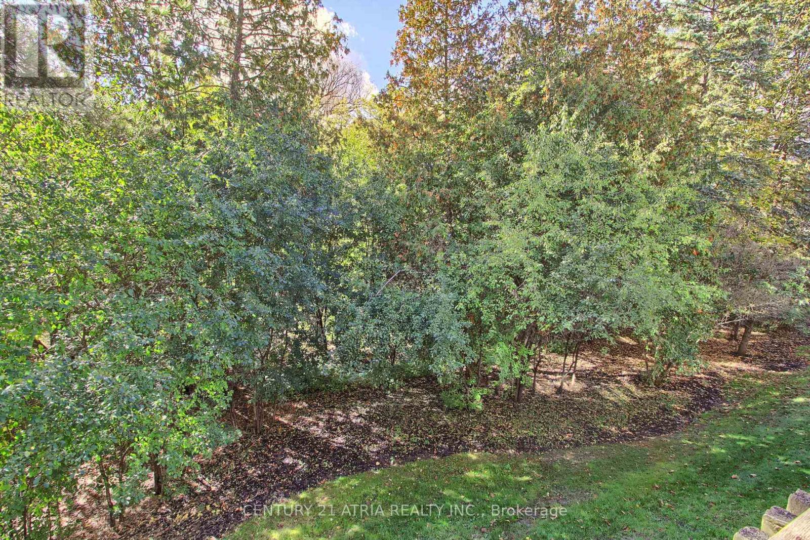 27 Anderson Place, Aurora, ON photo 18