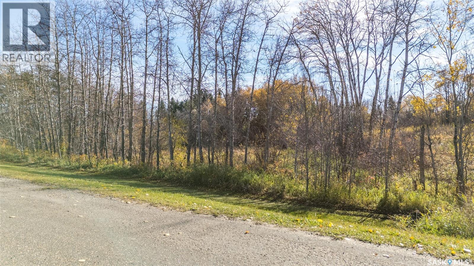 Lot 5 Cusator Road, Duck Lake Rm No. 463 — photo 4