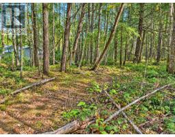 2333 Summerset Rd, Nanoose Bay, BC V9P9E4 Photo 75