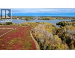 31.7 Acres Straight Brook Road, photo 9