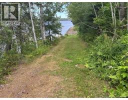 31.7 Acres Straight Brook Road, photo 5