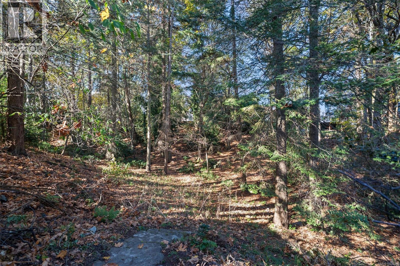2104 Wenman Dr - 41