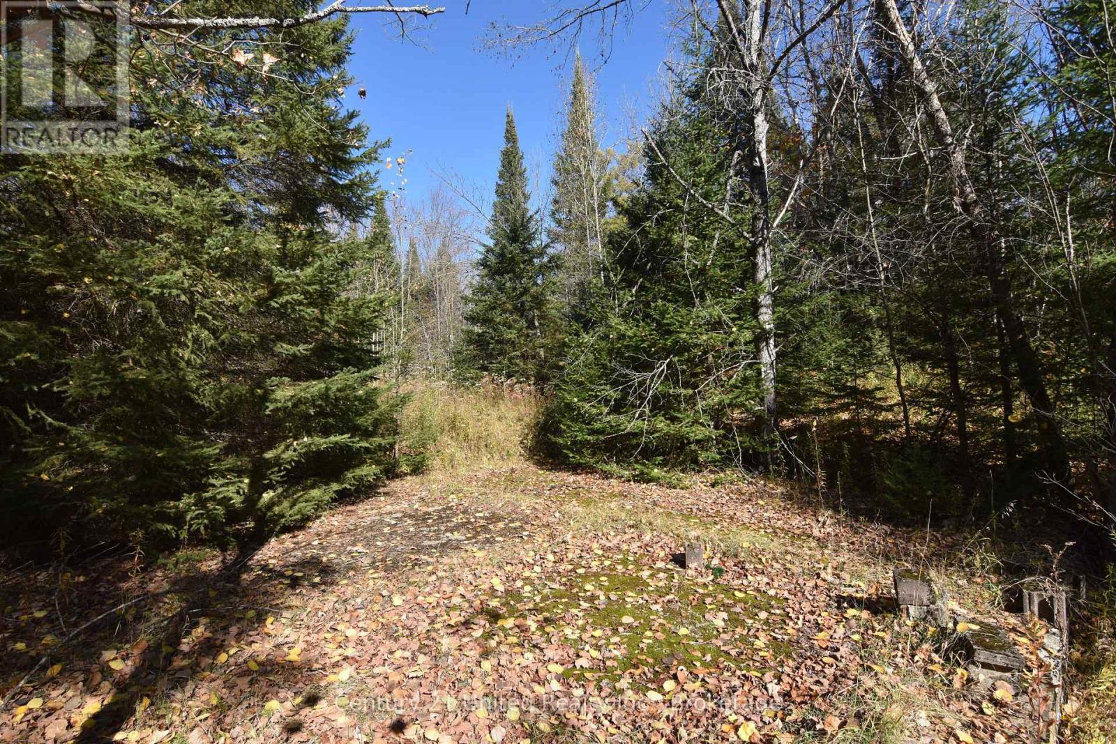 0 HIGHWAY 620, Wollaston — photo 3