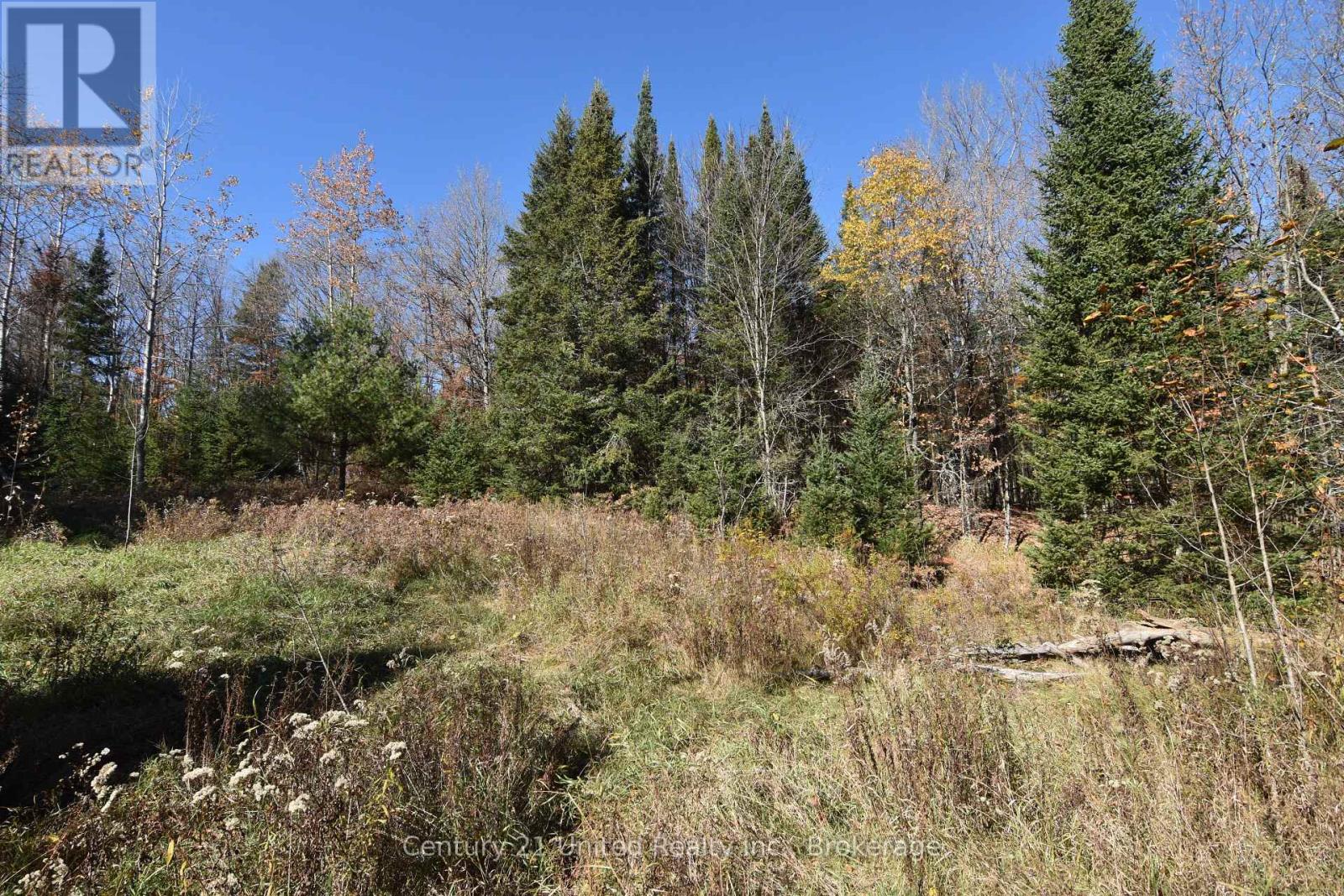 0 HIGHWAY 620, Wollaston — photo 4