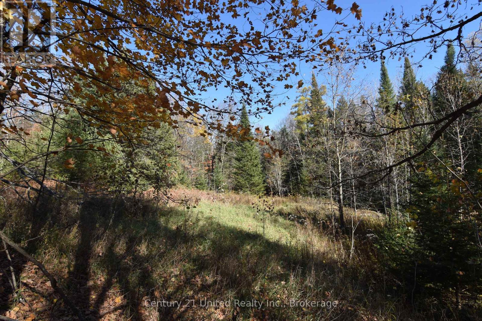 0 HIGHWAY 620, Wollaston — photo 5