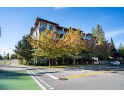 405 15388 105 Avenue, Surrey, BC V3R0C4 Photo 21