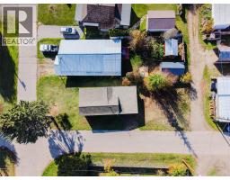 902 Cottonwood Avenue, Salmo, BC V0G1Z0 Photo 45