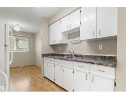 Recreation room - 55 Royal Rd Nw, Edmonton, AB T6J2E7 Photo 9