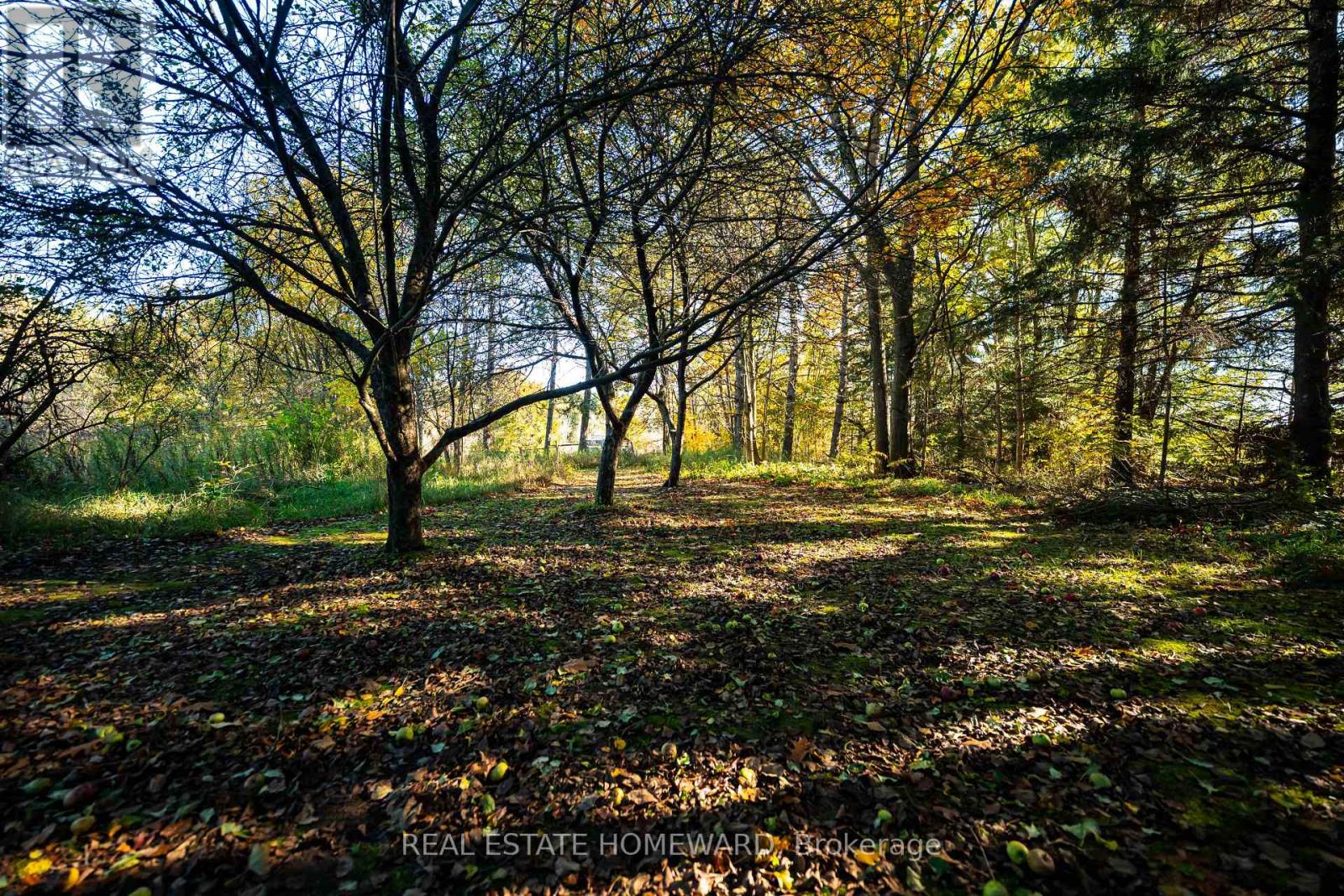 595343 Blindline Road, Mono, ON photo 21