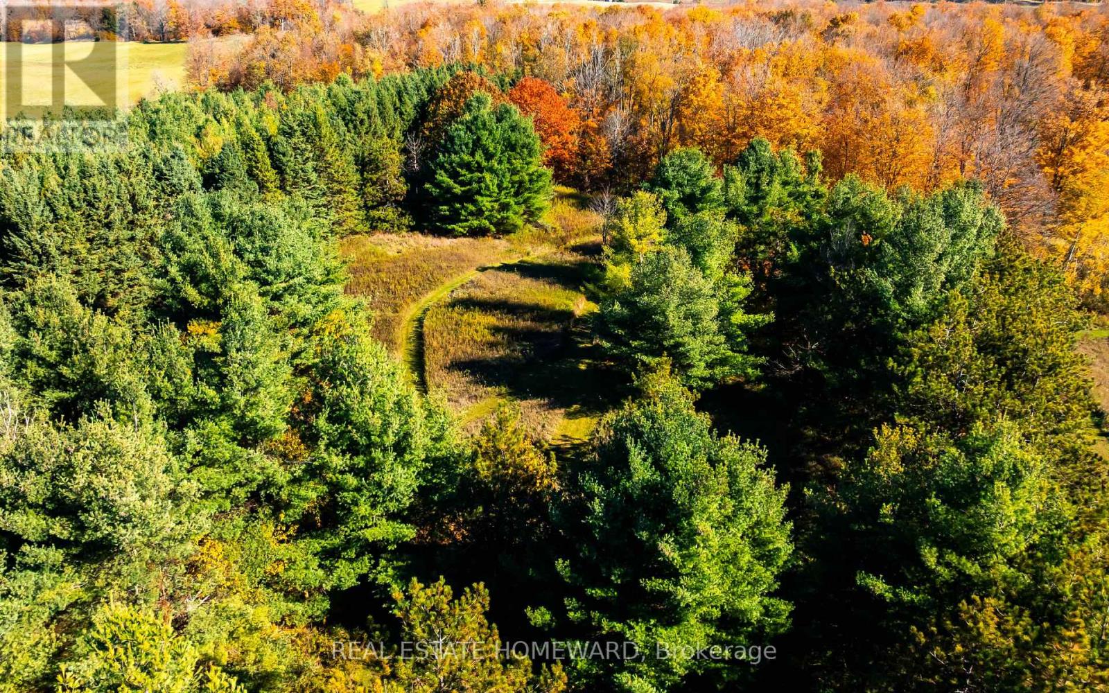 595343 Blindline Road, Mono, ON photo 26