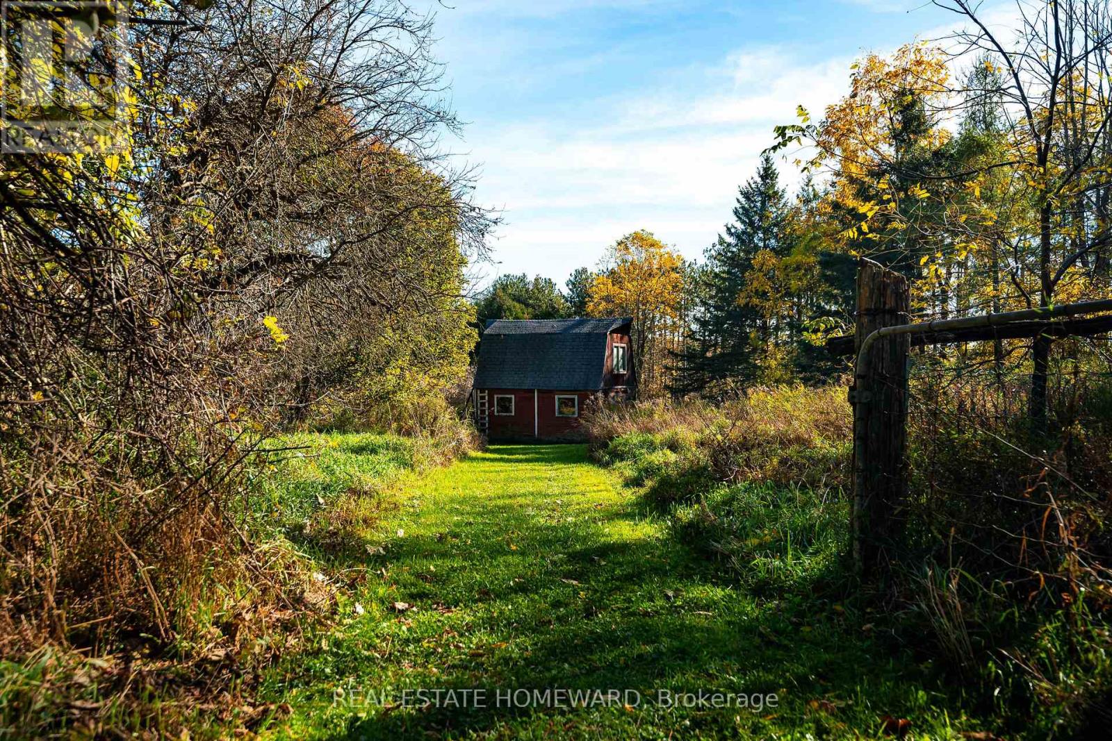 595343 BLINDLINE ROAD, Mono — photo 3