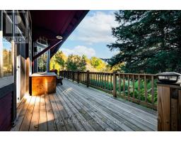 595343 Blindline Road, Mono, ON L0N1S5 Photo 10