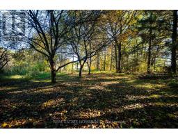 595343 Blindline Road, Mono, ON L0N1S5 Photo 21