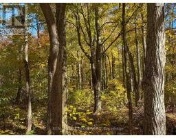 595343 Blindline Road, Mono, ON L0N1S5 Photo 22