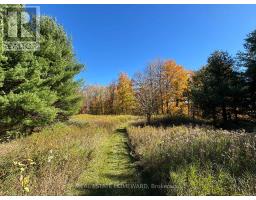595343 Blindline Road, Mono, ON L0N1S5 Photo 23