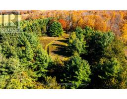 595343 Blindline Road, Mono, ON L0N1S5 Photo 26