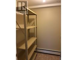 15 Lynnbrook Drive, Westmount, NS B1R1R2 Photo 42