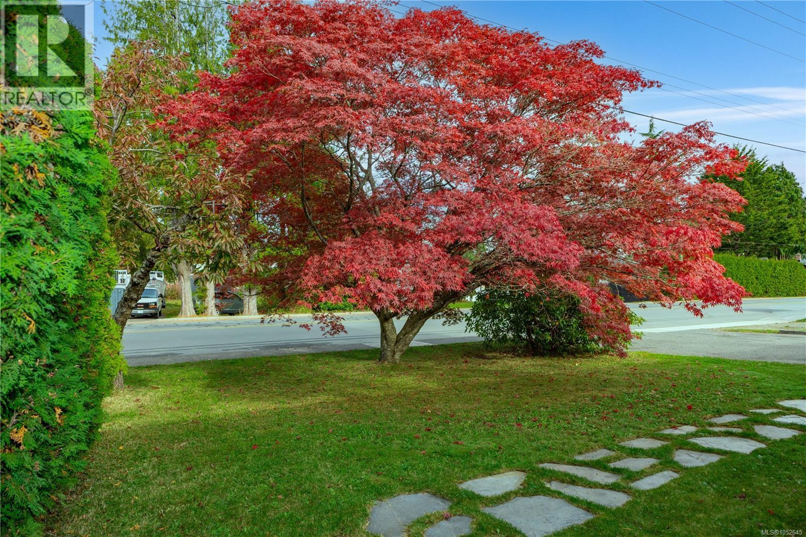 Front yard view and 1/2 a block to the ocean and Seawalk