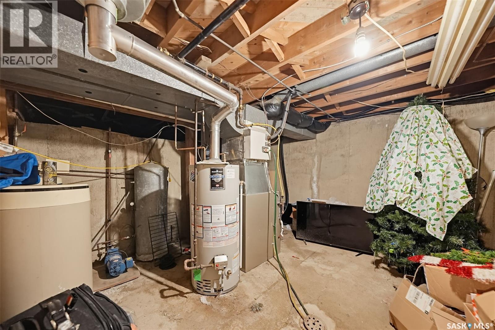 523 St Anthony STREET, Bruno — photo 14