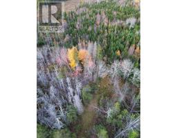 Land Highway 307 Wentworth Ns, Lower Wentworth, NS B0M1Z0 Photo 13