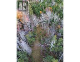 Land Highway 307 Wentworth Ns, Lower Wentworth, NS B0M1Z0 Photo 12