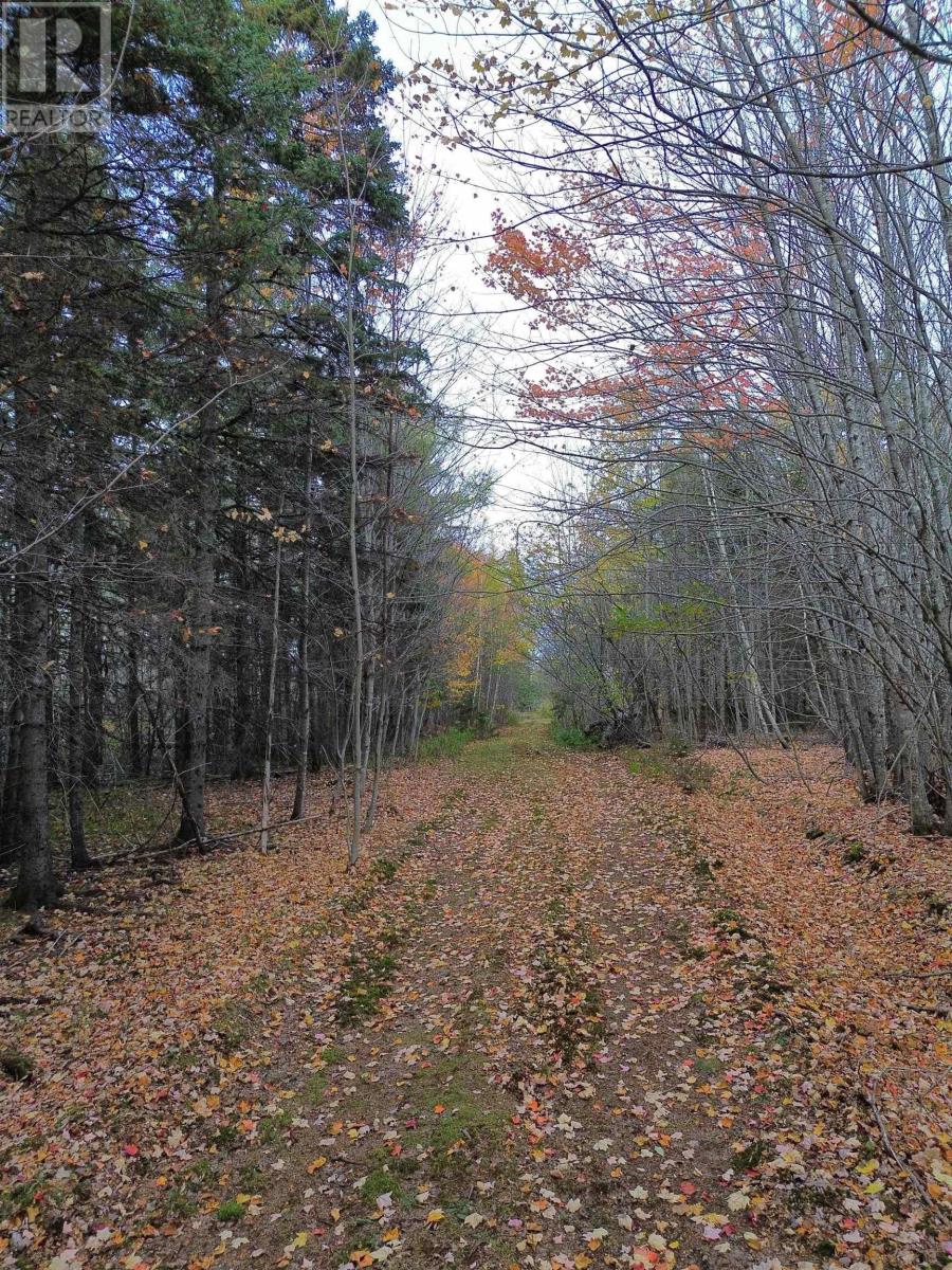 Land Highway 307 Wentworth NS, photo 11