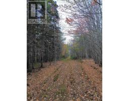 Land Highway 307 Wentworth Ns, Lower Wentworth, NS B0M1Z0 Photo 11