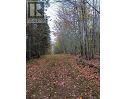 Land Highway 307 Wentworth Ns, Lower Wentworth, NS B0M1Z0 Photo 10