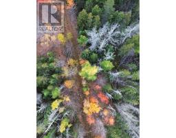 Land Highway 307 Wentworth Ns, Lower Wentworth, NS B0M1Z0 Photo 15