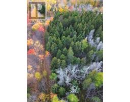Land Highway 307 Wentworth Ns, Lower Wentworth, NS B0M1Z0 Photo 17