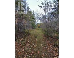 Land Highway 307 Wentworth Ns, Lower Wentworth, NS B0M1Z0 Photo 16