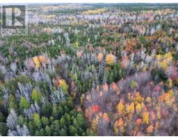 Land Highway 307 Wentworth Ns, Lower Wentworth, NS B0M1Z0 Photo 6