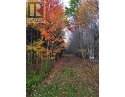 Land Highway 307 Wentworth Ns, Lower Wentworth, NS B0M1Z0 Photo 9