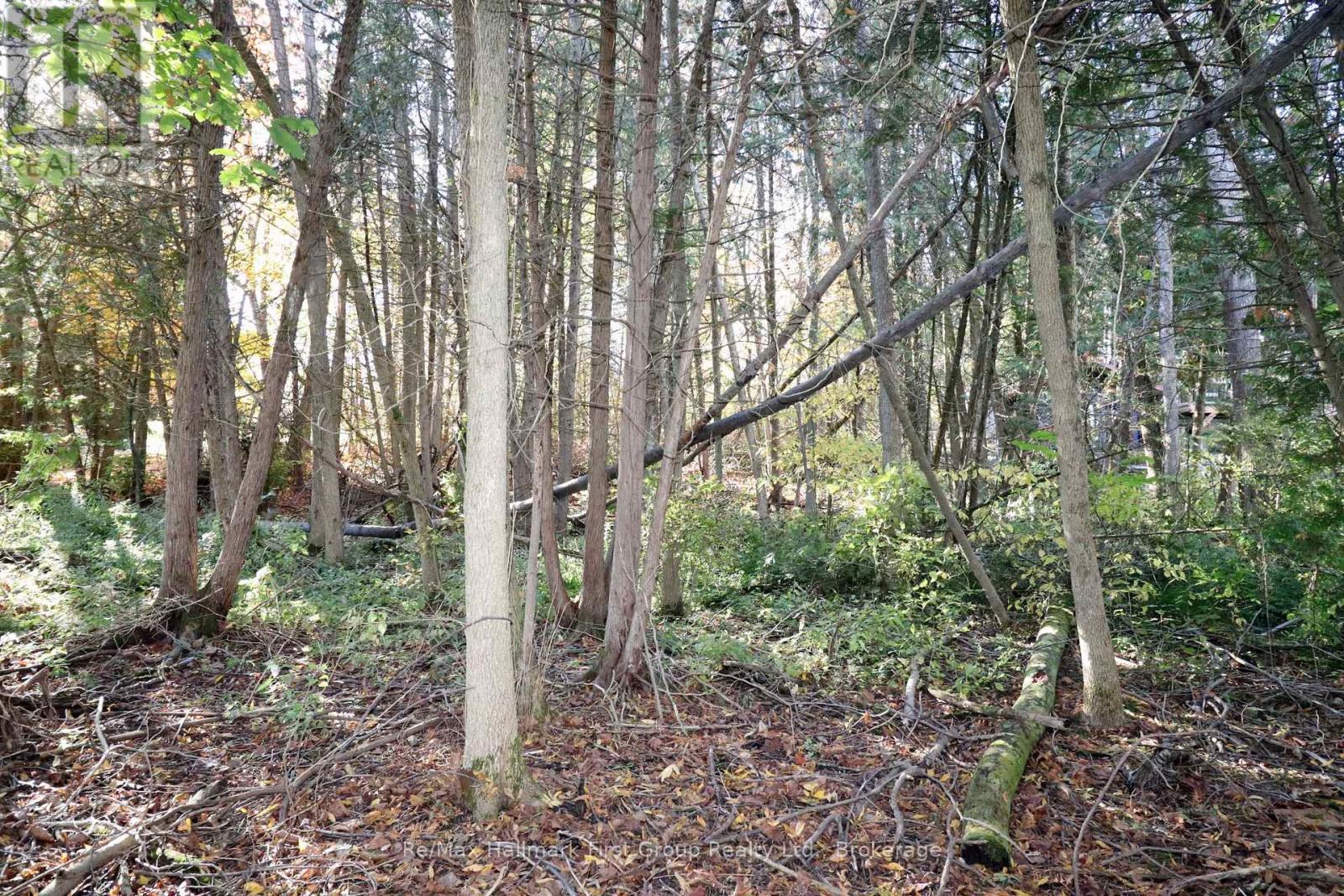 Lt 16 Sunsmile Lane, Tweed), ON photo 10
