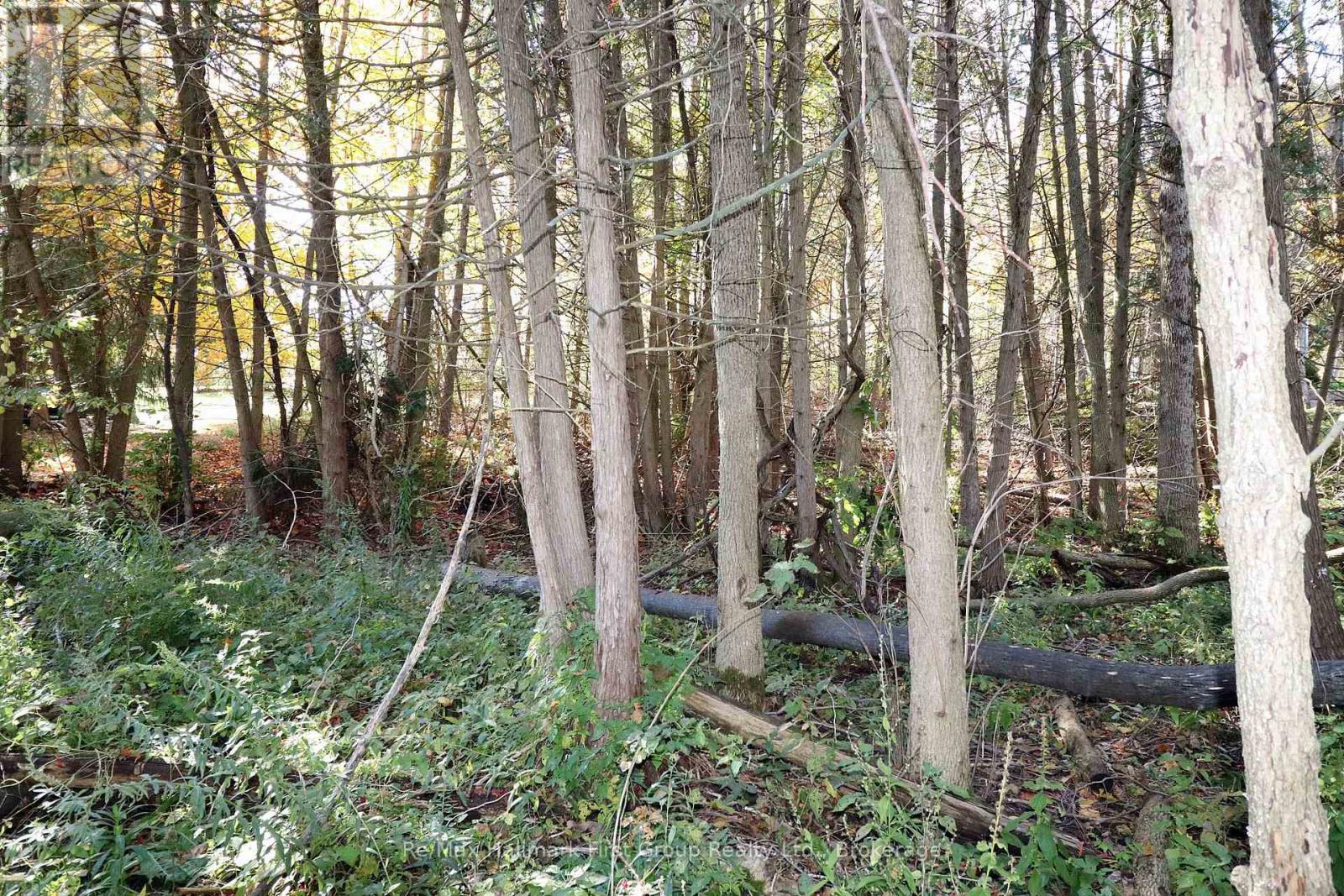 Lt 16 Sunsmile Lane, Tweed), ON photo 16