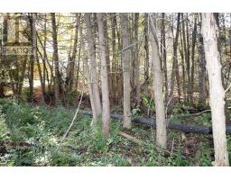 Lt 16 Sunsmile Lane, Tweed), ON K0K3J0 Photo 16