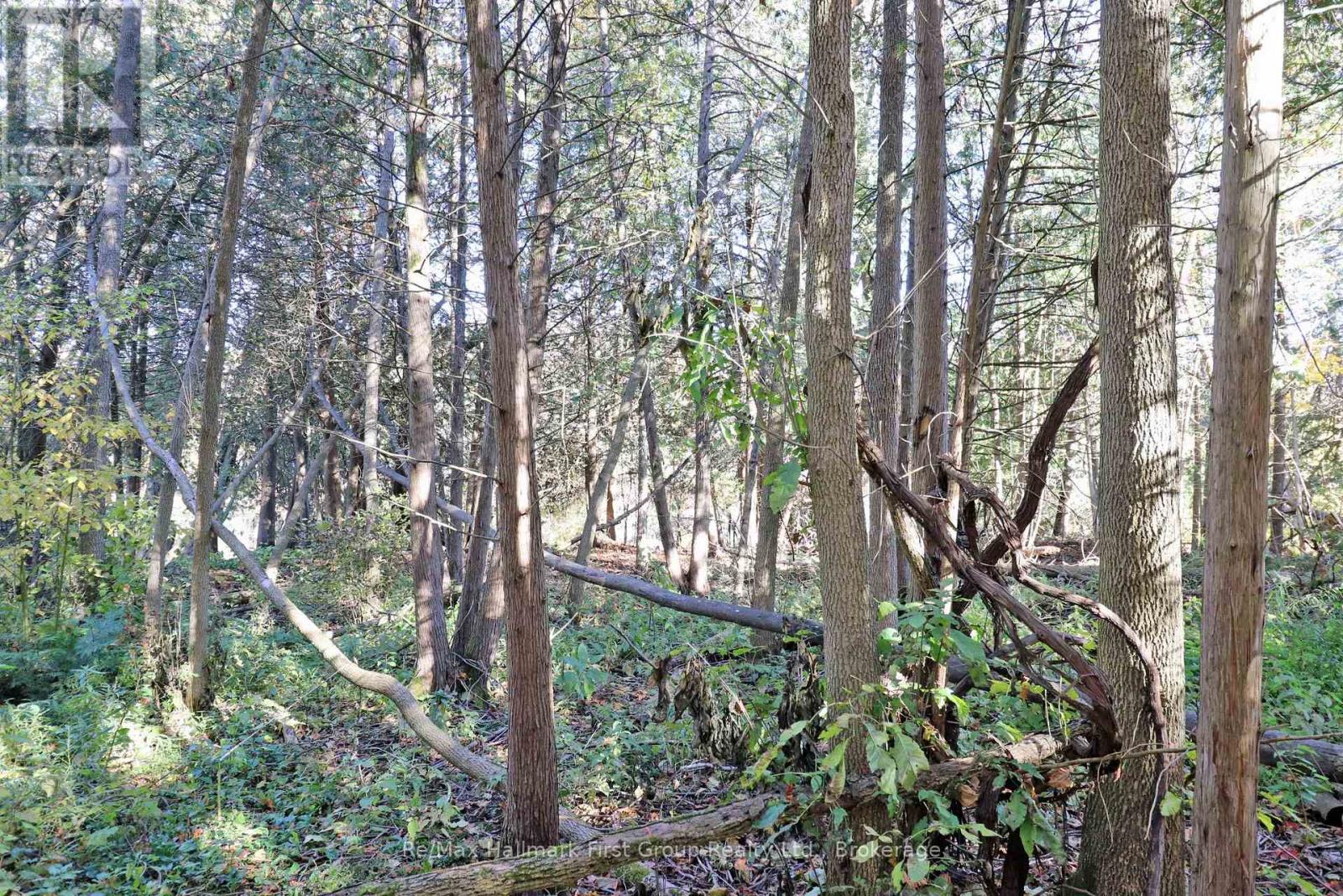 Lt 16 Sunsmile Lane, Tweed), ON photo 18
