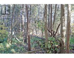 Lt 16 Sunsmile Lane, Tweed), ON K0K3J0 Photo 18