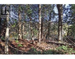 Lt 16 Sunsmile Lane, Tweed), ON K0K3J0 Photo 17