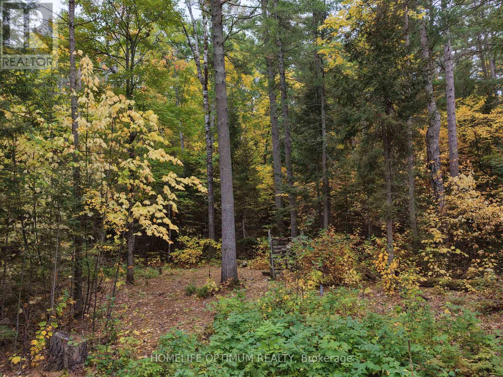 149 Buckshot Road, Head, Clara and Maria, ON photo 7