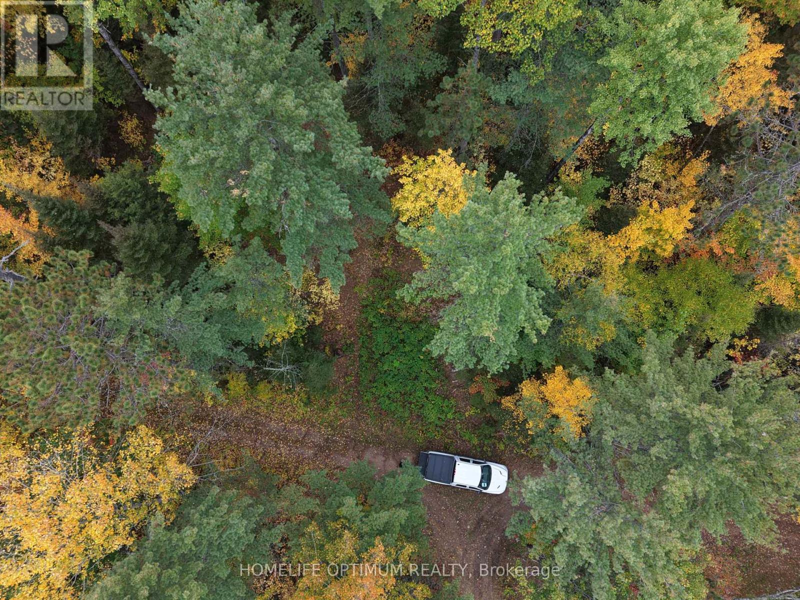 149 Buckshot Road, Head, Clara and Maria, ON photo 8