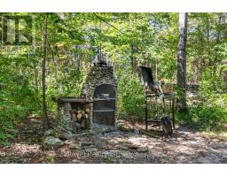 18 Bessie Avenue S, Kawartha Lakes, ON K0M1A0 Photo 37