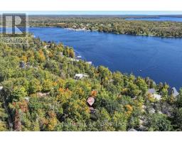 18 Bessie Avenue S, Kawartha Lakes, ON K0M1A0 Photo 41