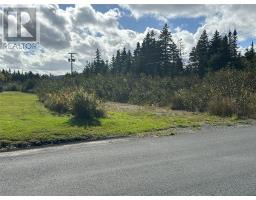 123-125 Kildare Road thumbnail 3