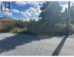 123-125 Kildare Road thumbnail 6