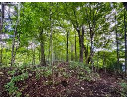 187 Cress Road, Mindemoya, Manitoulin Island, ON P0P1S0 Photo 75