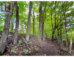 187 Cress Road, Mindemoya, Manitoulin Island, ON P0P1S0 Photo 76