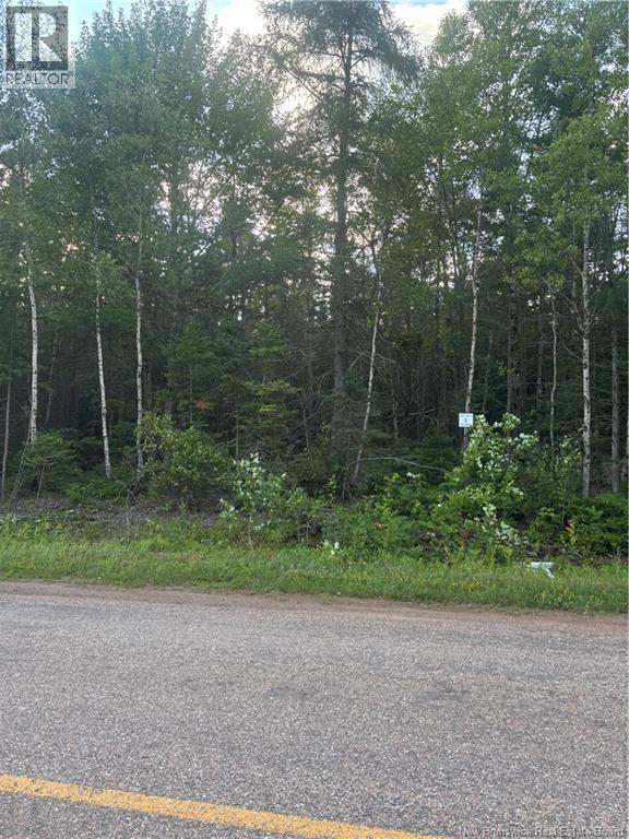 Lot 26-1 Upper Midland Road photo 5