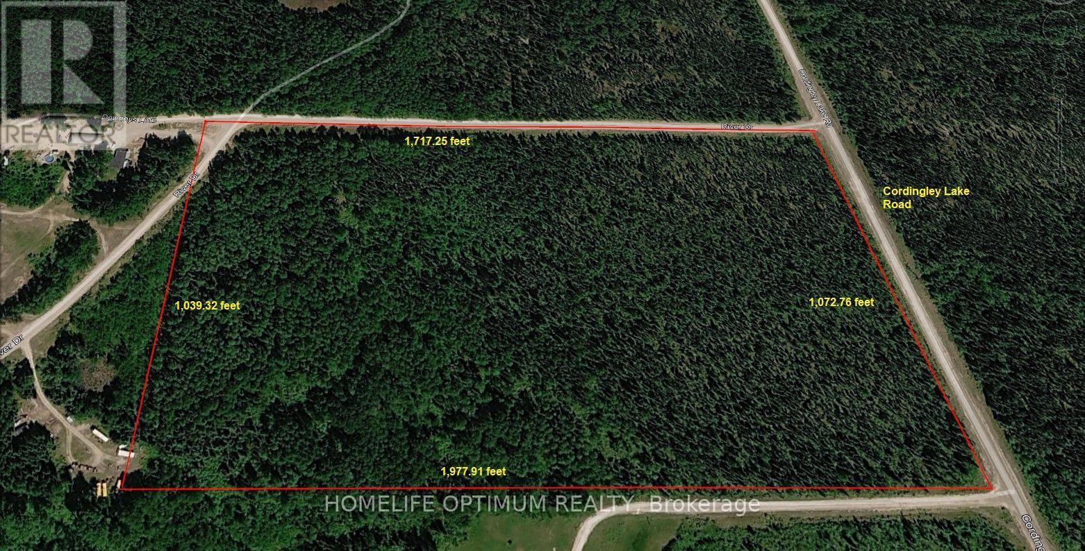 Pcl 8046 Cordingley Lake Road North, Greenstone, ON photo 5