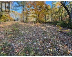 74 Barnes Point Road, photo 15